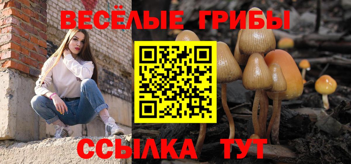 Галлюциногенные грибы прущие грибы Магнитогорск