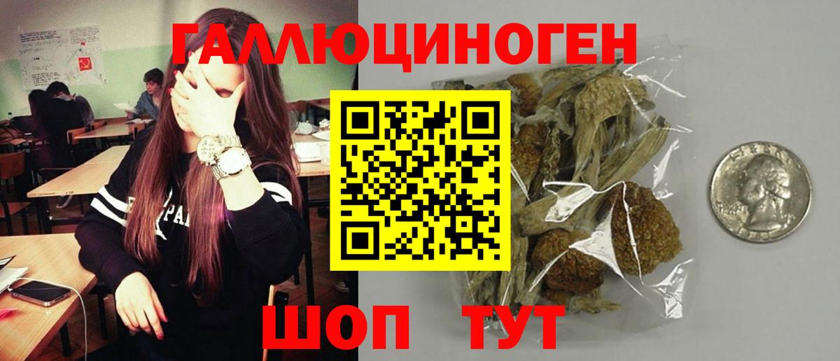 Псилоцибиновые грибы Psilocybine cubensis  Вход с VPN  Магнитогорск 